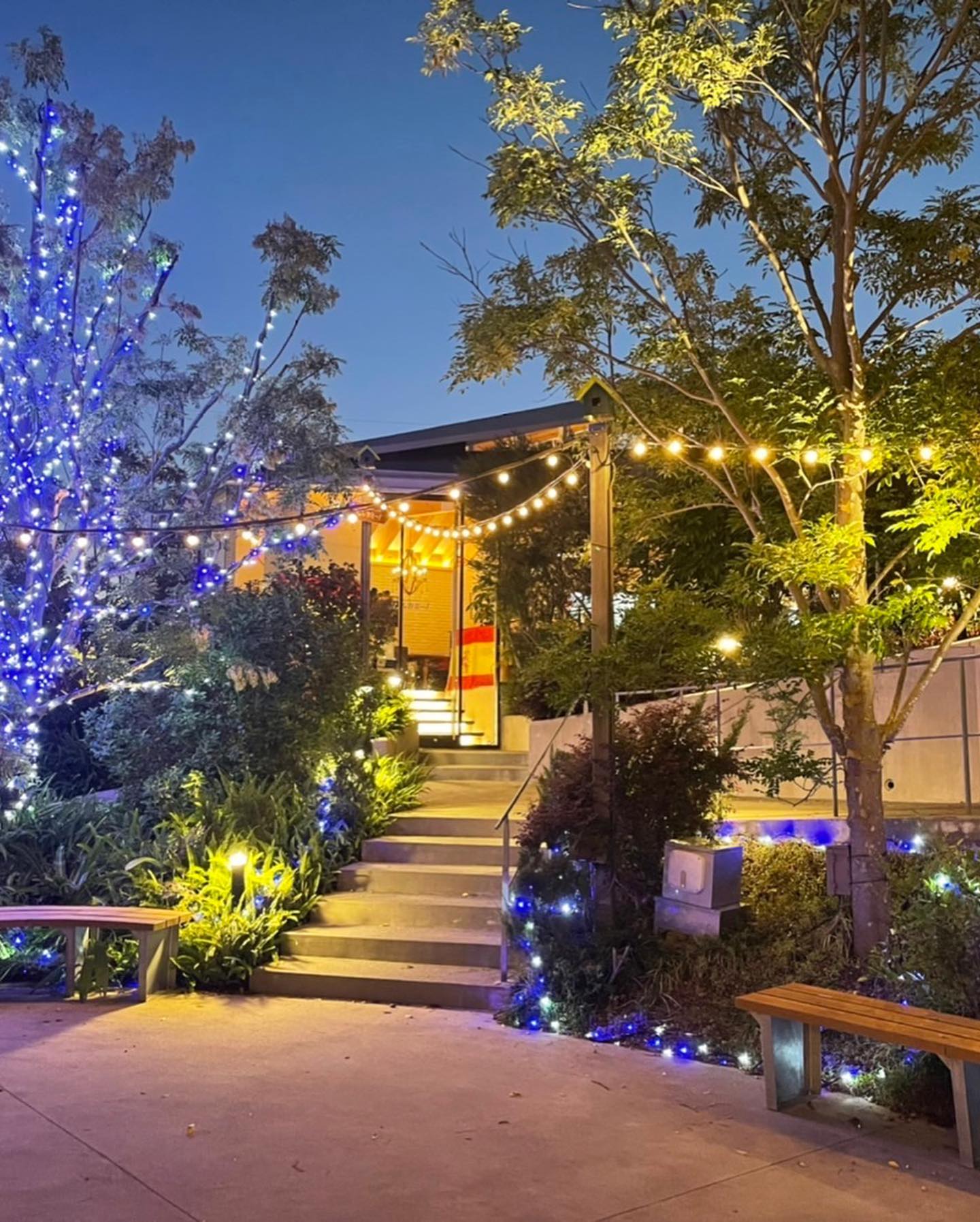 エルカミーノ佐鳴台のある、サーラプラザ佐鳴台のイルミネーションも始まりました。
とっても綺麗なので是非ご覧になってください♪
エルカミーノ佐鳴台
053-440-7057
浜松市中区佐鳴台1-11-5
サーラプラザ佐鳴台
11:00〜21:30
定休日:日曜・第二火曜
12月31日・1月1日・2日
は休業となります。